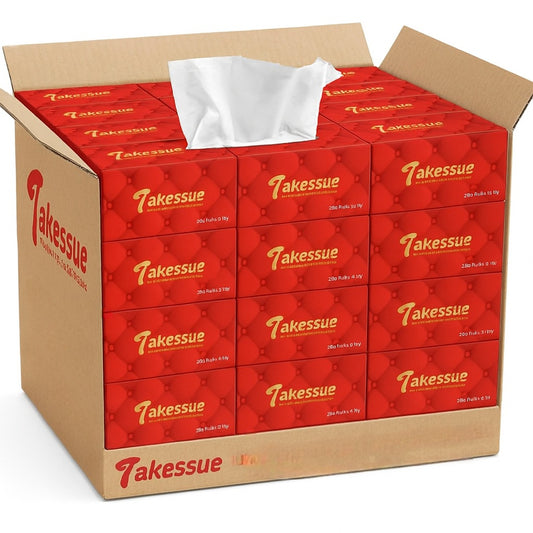 Takessue Soft Facial Tissue – 200 Pulls, 2 Ply | 1 Carton (30 Premium Tissue Boxes)